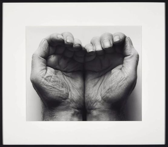 Double Hand Front by John Coplans contemporary artwork Photography