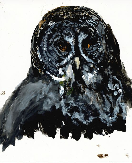 o.T. Studie zu VI. Die Krone der Schopfung aus der Reihe der Die groen Prozesse by Wolf Hamm contemporary artwork Painting