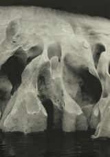 Archival Plate 03 by Samim Alam Beg contemporary artwork print