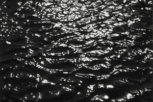 Robert Longo