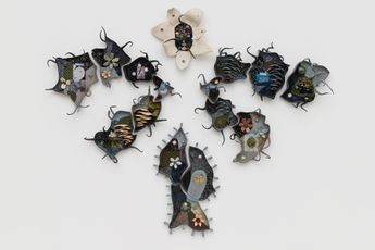 Erin Jane Nelson contemporary artist