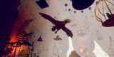 The Bird Lady by Kwon Hayoun contemporary artwork moving image
