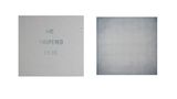 Whisper diptych by Ayesha Jatoi contemporary artwork painting
