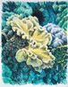 Saltwater IX by Bruno Gadenne contemporary artwork Works on Paper