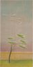 Pine tree by Vivienne Shark Lewitt contemporary artwork Painting