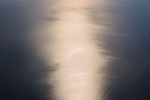 Lucas Foglia