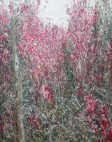 Mandrami by Jiwon Kim contemporary artwork painting