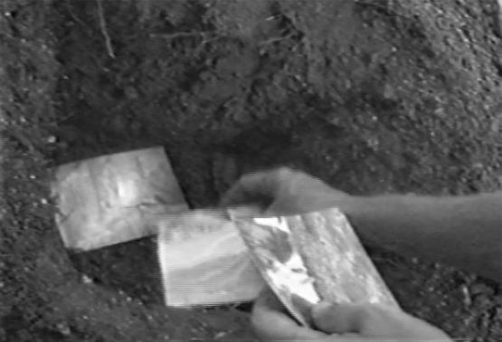 To bury is to plant Enterrar e plantar by Brigida Baltar contemporary artwork Moving Image