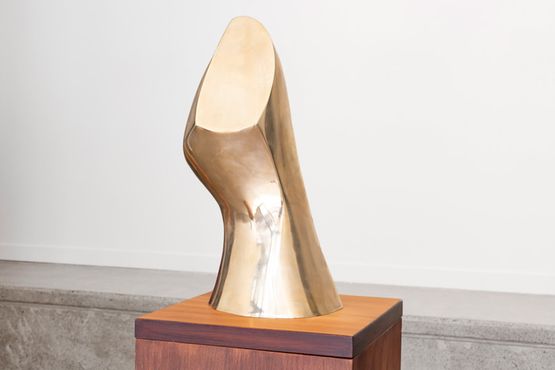Head by Tanya Ashken contemporary artwork Sculpture