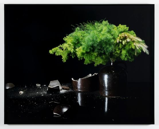 Mike by Sharon Lockhart contemporary artwork Photography