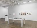 The Longest Day of Night by Barbara T. Smith contemporary artwork Installation