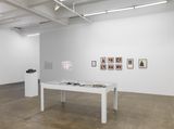 The Longest Day of Night by Barbara T. Smith contemporary artwork installation
