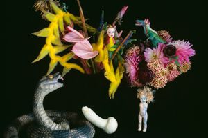 Nobuyoshi Araki