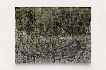 Lais Amaral contemporary artist