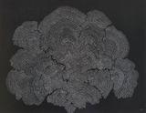 Expansion by Imhathai Suwatthanasilp contemporary artwork mixed media