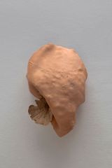 Studies for potential metamorphoses XXII by Yasam Sasmazer contemporary artwork sculpture