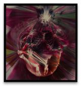 Old Maid by Andra Ursuta contemporary artwork photography