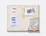 Mailed Painting 170 by Karin Sander contemporary artwork painting