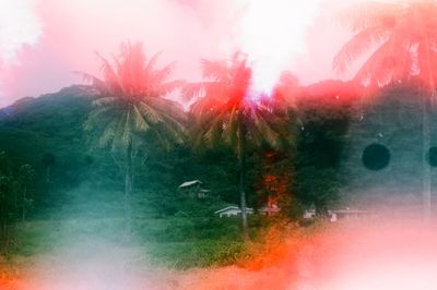Tautai Opening a Dream for Pacific Art Community
