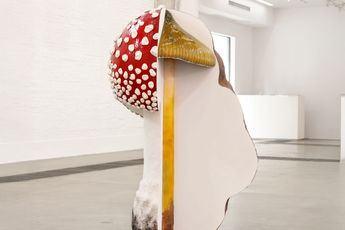 Carsten Holler contemporary artist