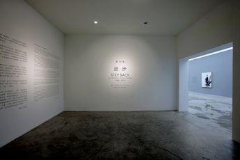 Contemporary art exhibition Chen Danqing Step Back 1968  2019 at Tang Contemporary Art Beijing China