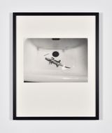 Caiman by Lothar Baumgarten contemporary artwork photography