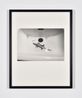 Caiman by Lothar Baumgarten contemporary artwork Photography