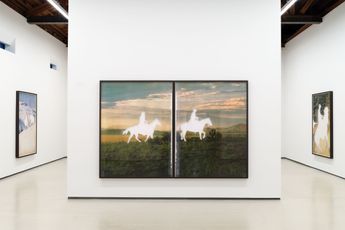 Contemporary art exhibition Jose Davila Photographic Memory at Sean Kelly Los Angeles United States