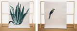Agave  Guacamayo by Gabriela Bettini contemporary artwork painting