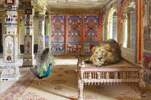 Karen Knorr