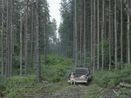 Pickup Truck by Gregory Crewdson contemporary artwork Photography
