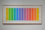 Ellsworth Kelly contemporary artist