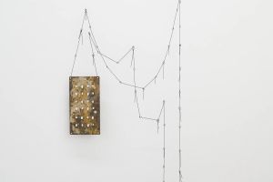 Kelly Mcdonald