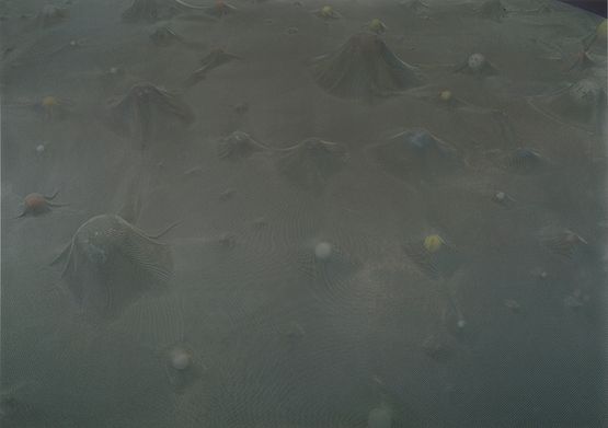 Glovetrotter by Cildo Meireles contemporary artwork Print
