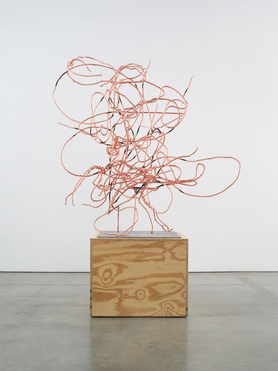 Untitled, 2022 by Christopher Wool | Ocula