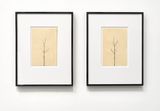 Pair of Winter Drawings 12vs10 and 10vs12 by Peter Liversidge contemporary artwork painting works on paper