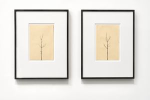 Peter Liversidge