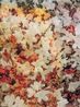 Bloom a8866d by Trevor Paglen contemporary artwork Photography