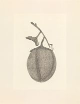 Revival Series 4 Seeds of Fearlessness by Eddie Lui contemporary artwork drawing works on paper