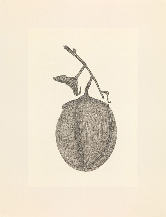 Revival Series 4 Seeds of Fearlessness by Eddie Lui contemporary artwork Works on Paper