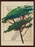 Portrait of Italy Through Its Trees Painting on Map VIII by Julian Schnabel contemporary artwork Works on Paper