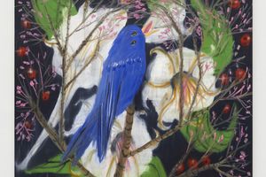 Ann Craven