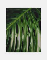 Monstera V by Marcel Vidal contemporary artwork painting
