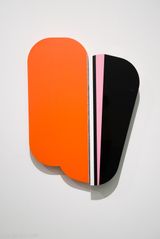 Resolve Everything Using Beautiful Form -- Psychedelic by Shi Yong contemporary artwork installation