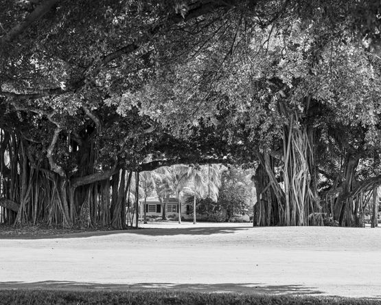 Coral Gables Miami by Anastasia Samoylova contemporary artwork Print