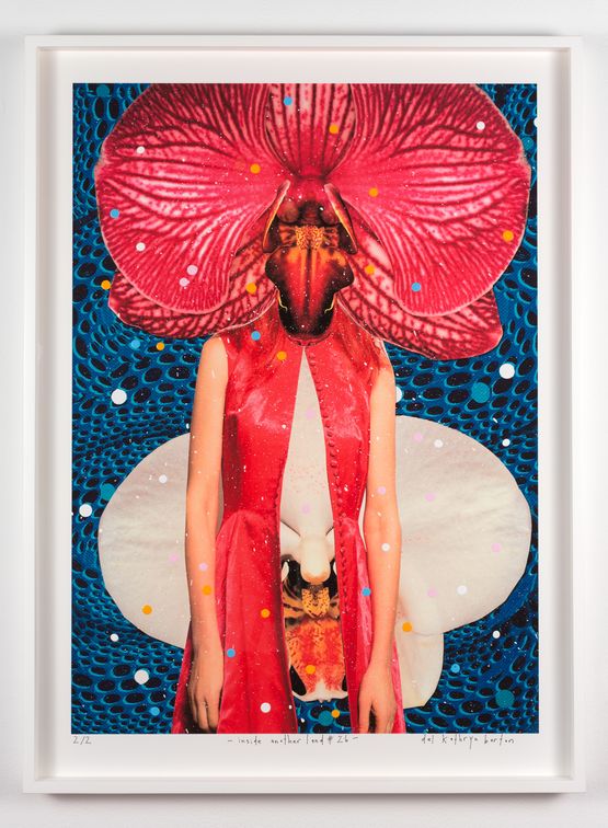 inside another land 26 by Del Kathryn Barton contemporary artwork Mixed Media