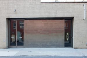 Pace Gallery contemporary art gallery in 537 West 24th Street New York United States