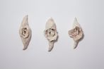 A concha vagina I II III by Brigida Baltar contemporary artwork