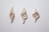 A concha vagina I II III by Brigida Baltar contemporary artwork