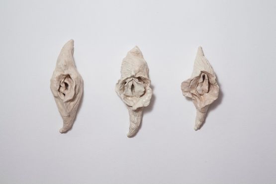 A concha vagina I II III by Brigida Baltar contemporary artwork